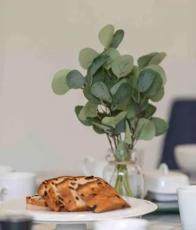 Wonderful Coastal In Town