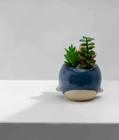 Wonderful Coastal In Town Nyaraló Dingle