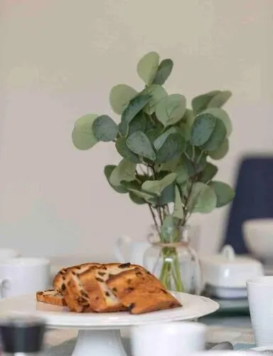 Wonderful Coastal In Town